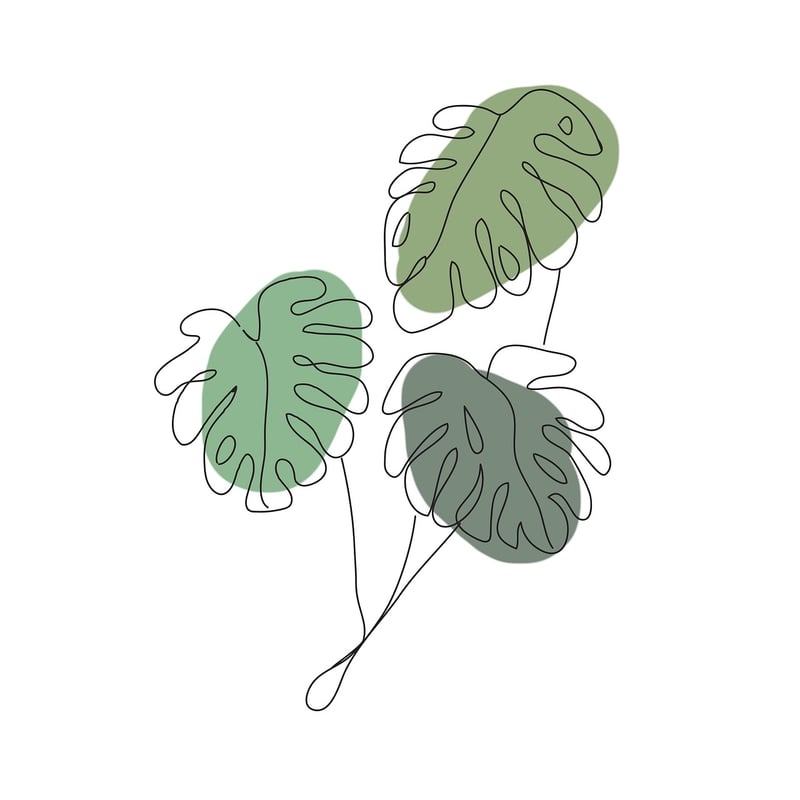 Bohemian Plants